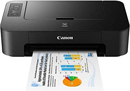 Canon Inkjet PIXMA G1010 Printer - MojoTech
